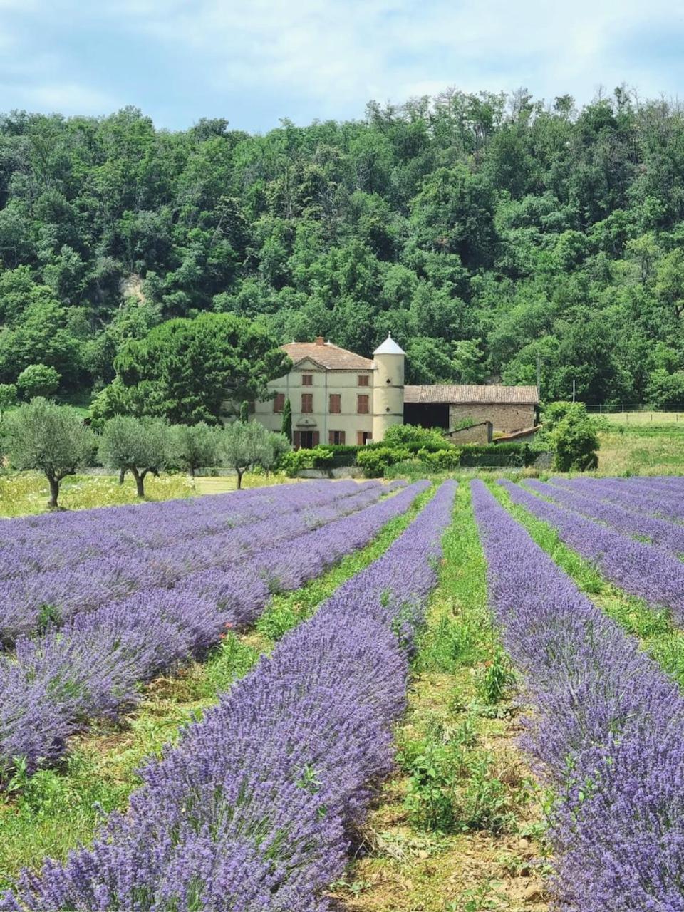 Villa Les maisons des Balmes à Romans-sur-Isère Extérieur photo